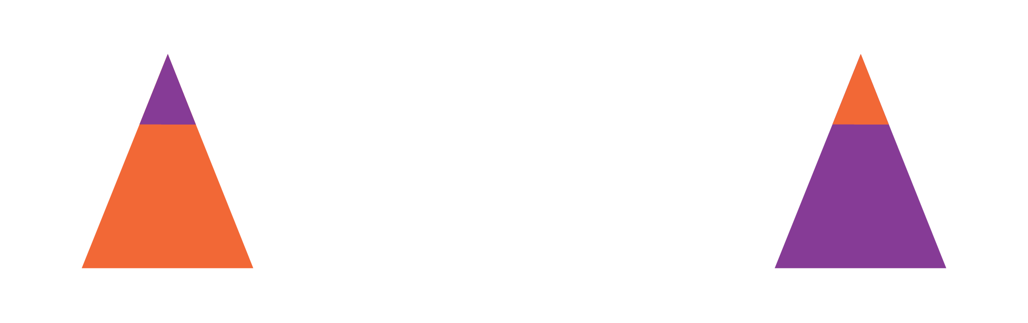 80/20 Agency